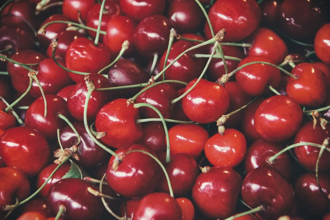 Ciliegie dolci rosse con il picciolo verde, ammucchiate e viste dall'alto