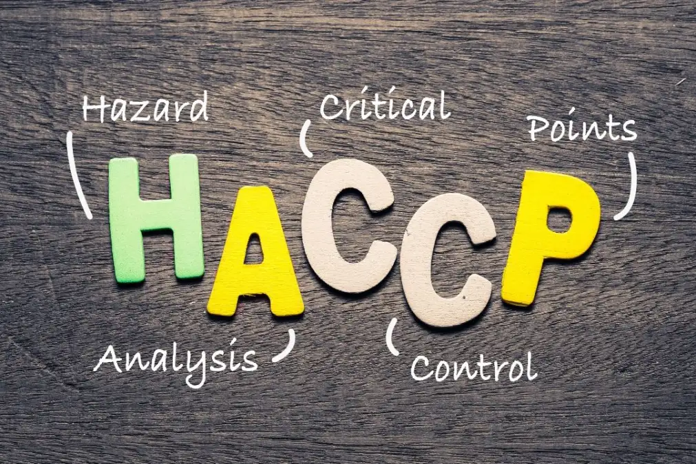Lettere colorate in legno che compongono la parola HACCP su un tavolo scuro, con le parole Hazard Analysis Critical Control Points scritte in gesso