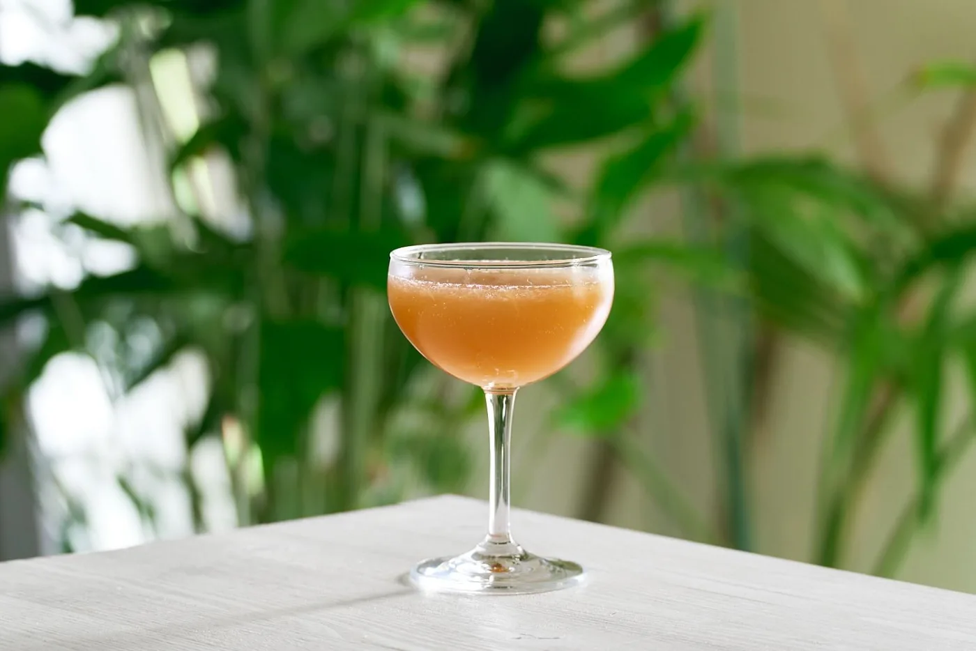 Il Golden Stag servito in una coppetta da cocktail con la schiuma in superficie, davanti a piante tropicali