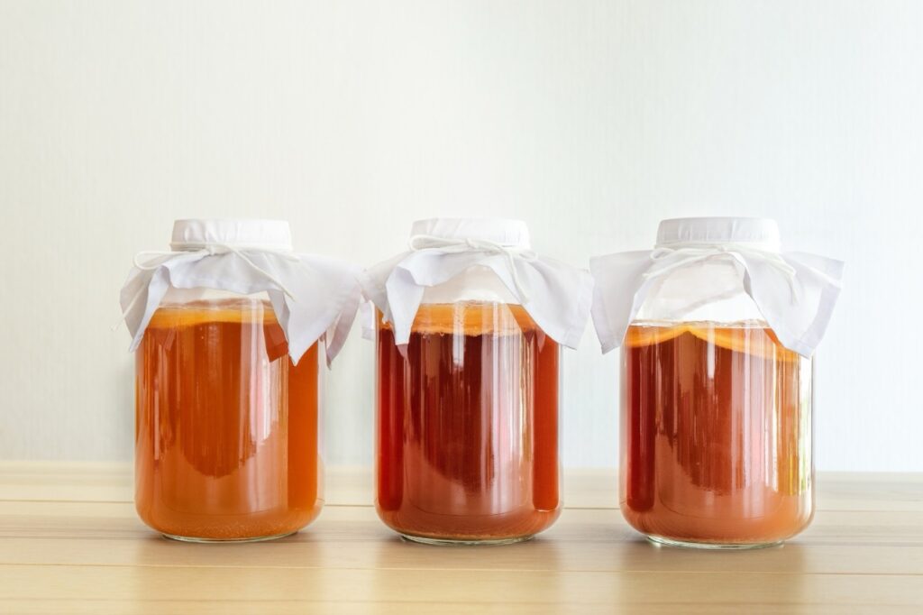 dei barattoli con la kombucha in fermentazione