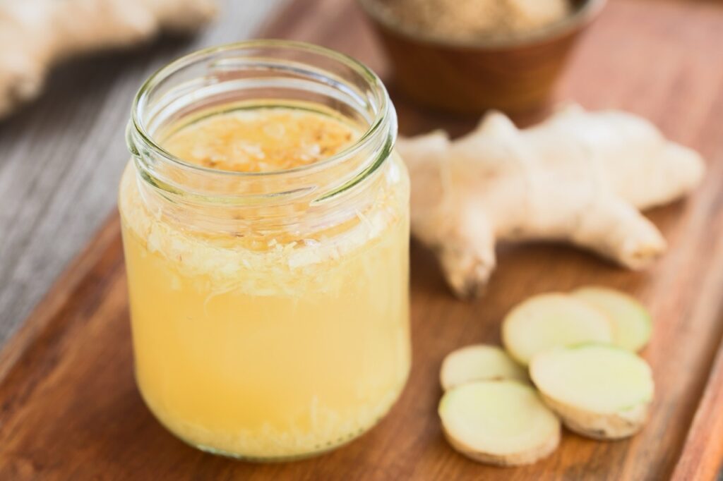 un ginger bug starter naturale