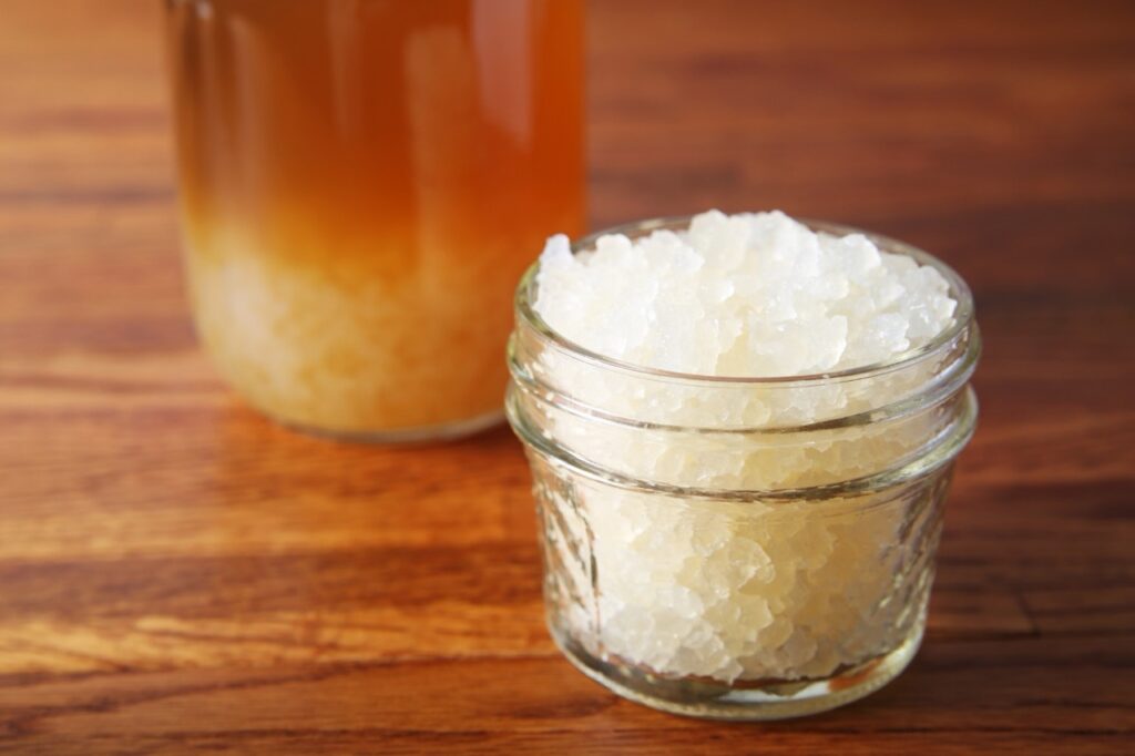 grani di kefir d'acqua (tibicos)