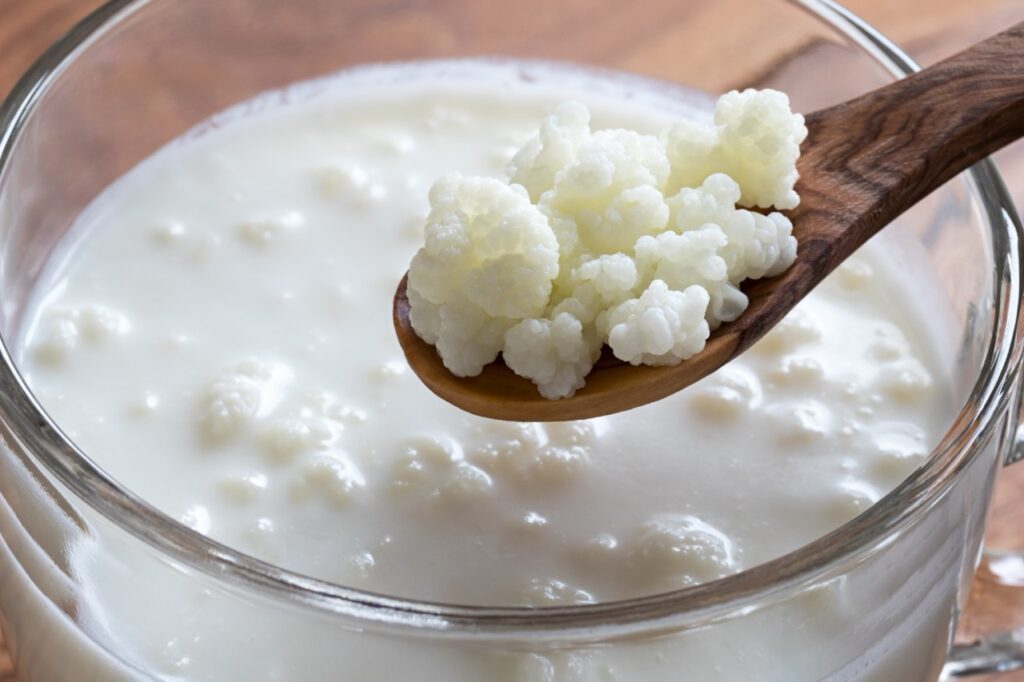 grani di kefir immersi nel latte