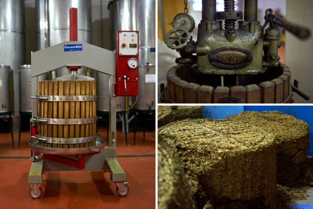 liquore-delle-sirene-pressatura