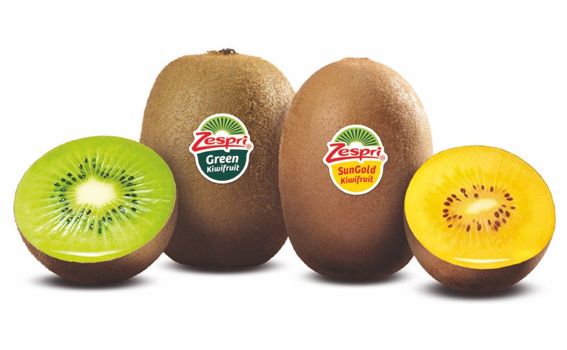 Kiwi verde e Kiwi giallo della Zespri