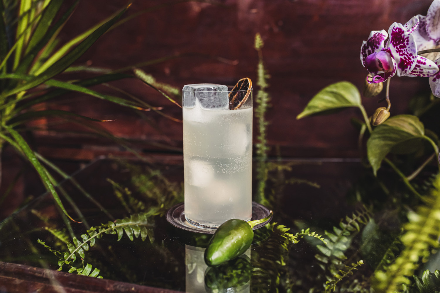 BOHEMIAN-FIZZ-cocktail-engineering-