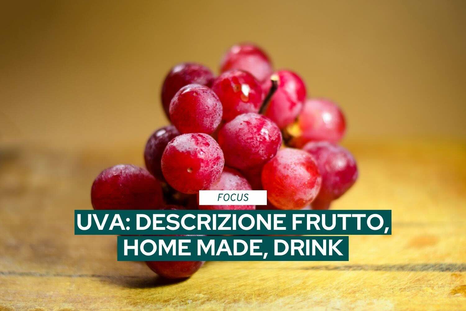 Focus – Uva –  descrizione frutto, home made, drink