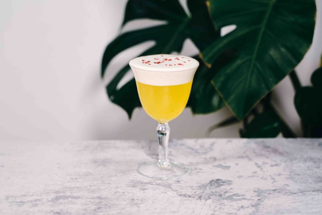 not a beer cocktail scaled