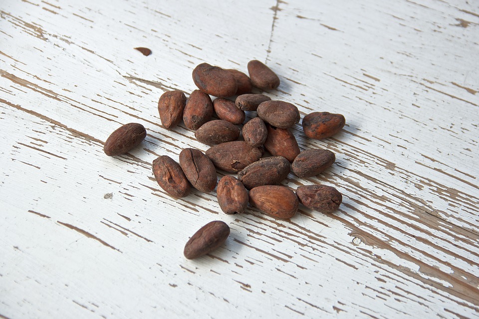fave di cacao