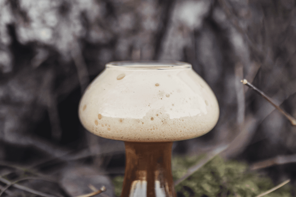 foam burro porcini
