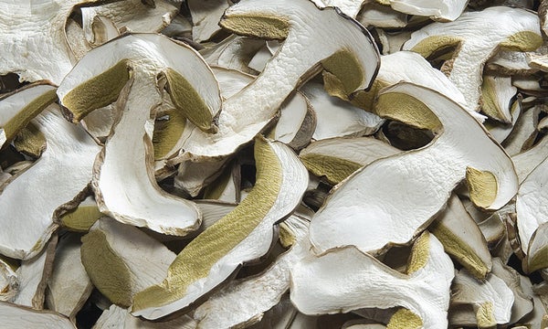 funghi porcini