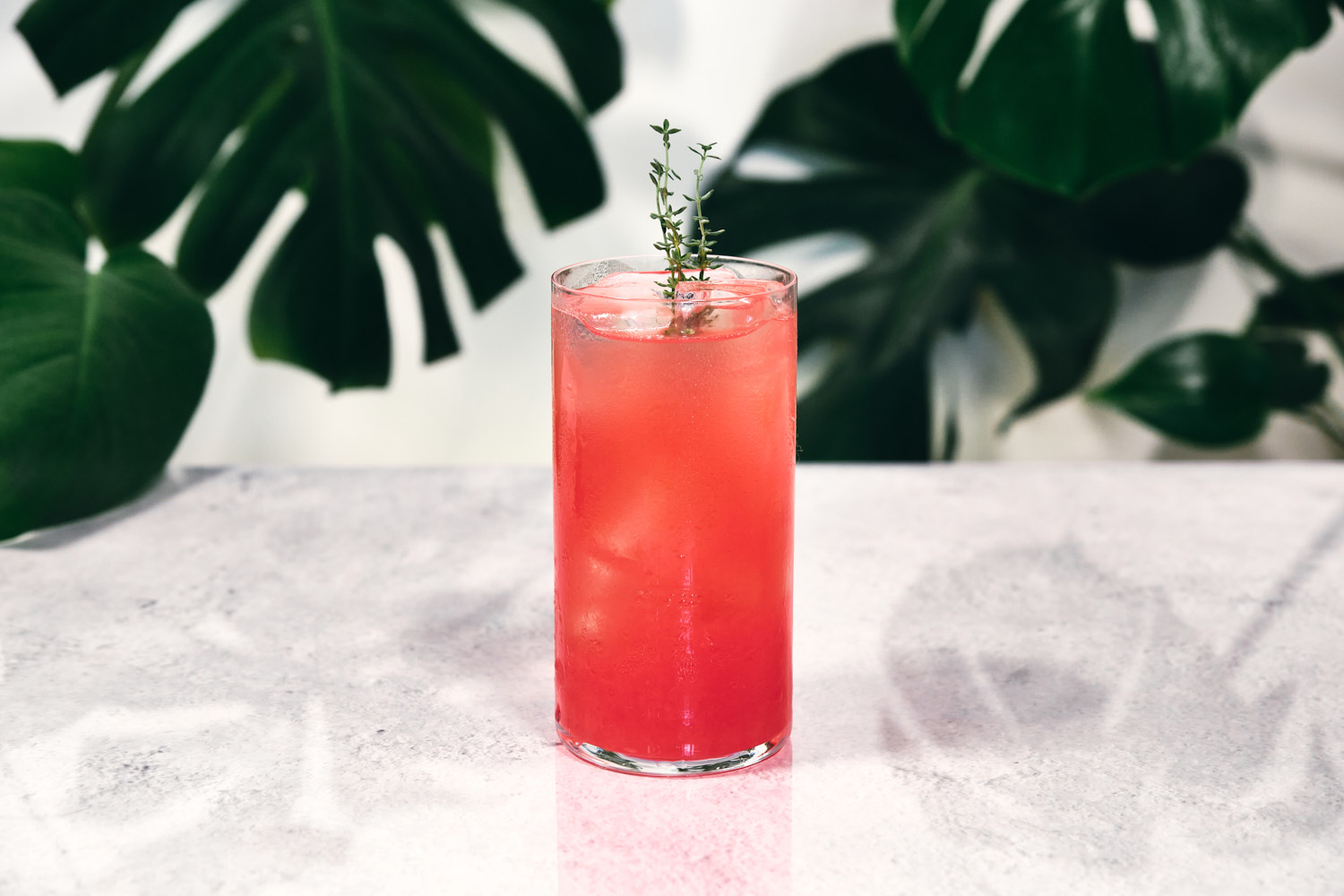 paloma-rosso-cocktail-engineering