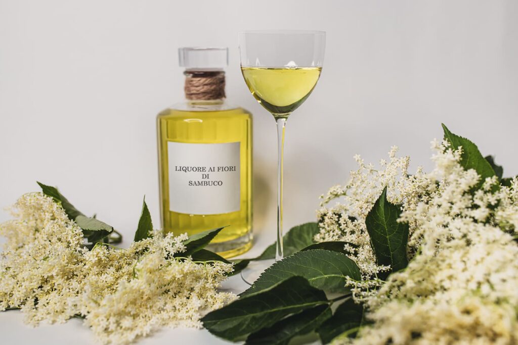 Un bicchiere con del liquore ai fiori di sambuco di fianco ad una bottiglia e a dei fiori di sambuco freschi