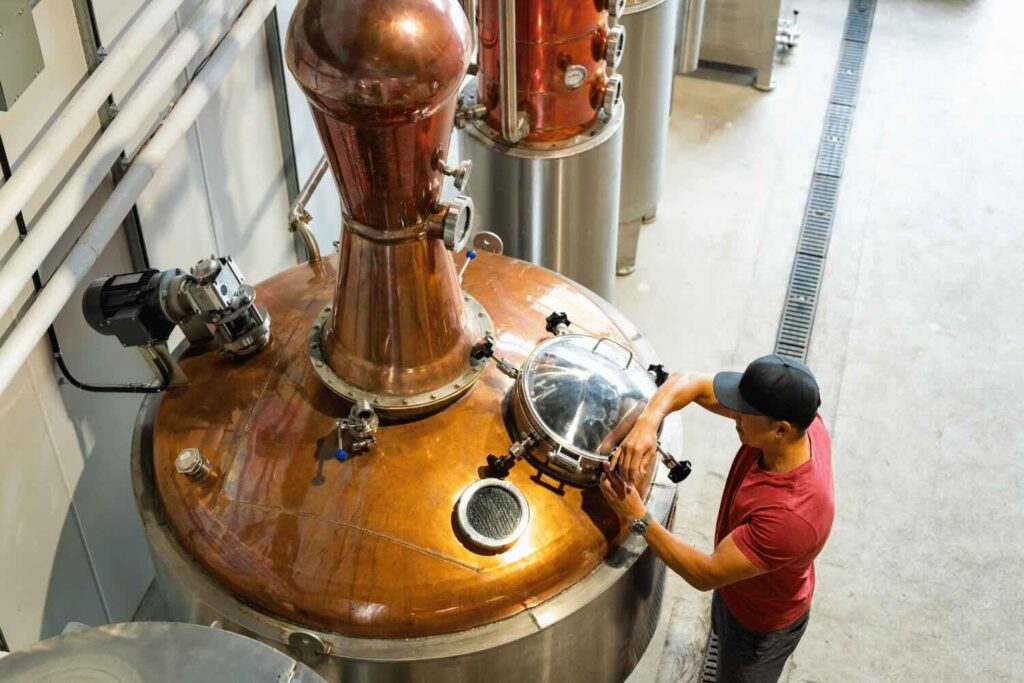 un alambicco per la produzione di gin e altri distillati