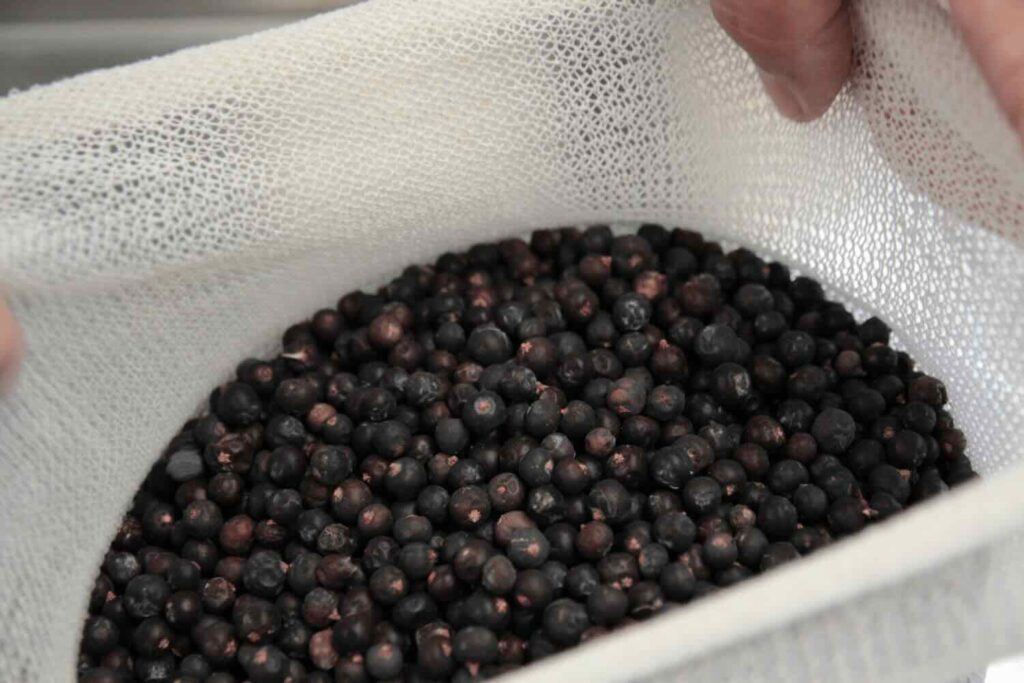 del ginepro per produrre gin