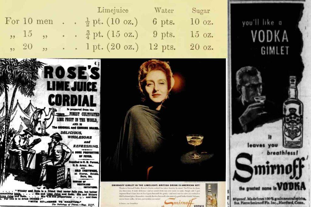 la storia del cocktail gimlet