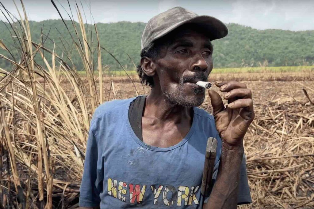 Un piantatore giamaicano