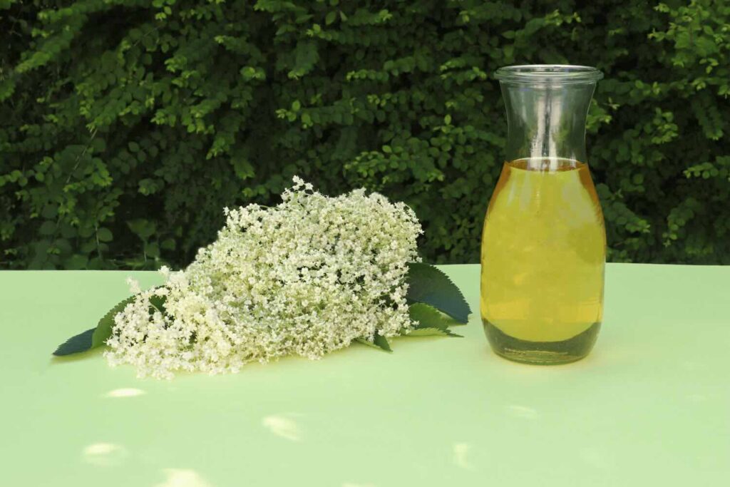 Sciroppo ai fiori di sambuco per hugo spritz