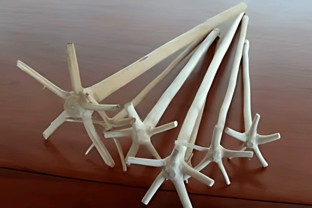 degli swizzle stick o bois lelè