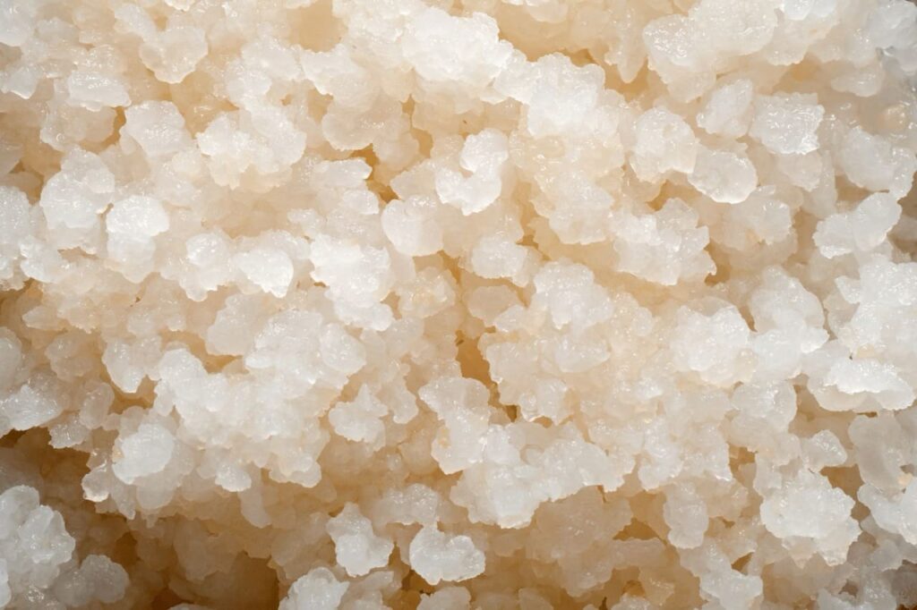 dei grani di kefir d'acqua (tibicos) visti da vicino. sono agglomerati di colore chiaro