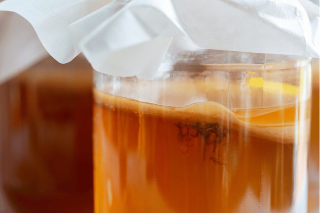 normali filamenti dello scoby che si formano durante la fermentazione