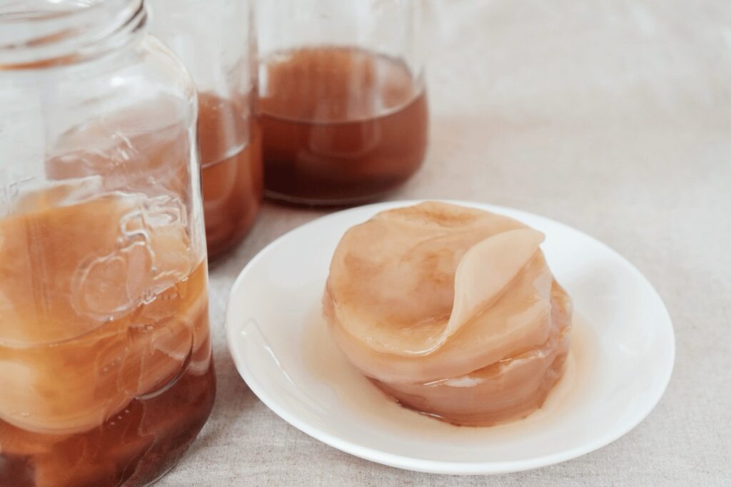 Primo piano di uno SCOBY di kombucha, la coltura simbiotica di lieviti e batteri utilizzata per fermentare il tè zuccherato